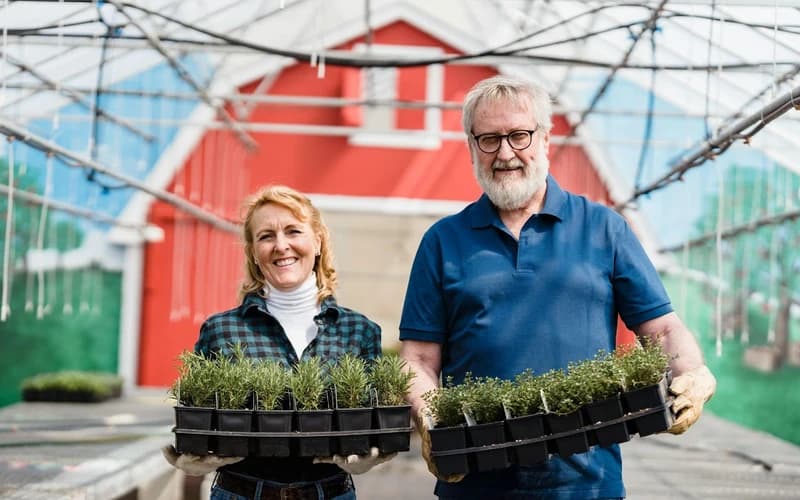 The Dynamics Between Sun and Sun in Synastry: Shared Vitality