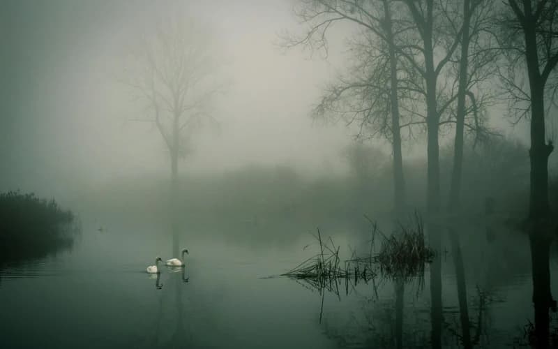 Navigating the Influence of Transit Neptune to the Natal Ascendant/Descendant: Ethereal Persona