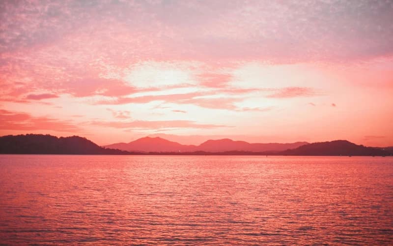 Navigating the Influence of Transit Neptune to the Natal Venus: Romantic Love